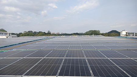 節能減碳！西迪光伏發電項目落成 點亮綠色低碳之路